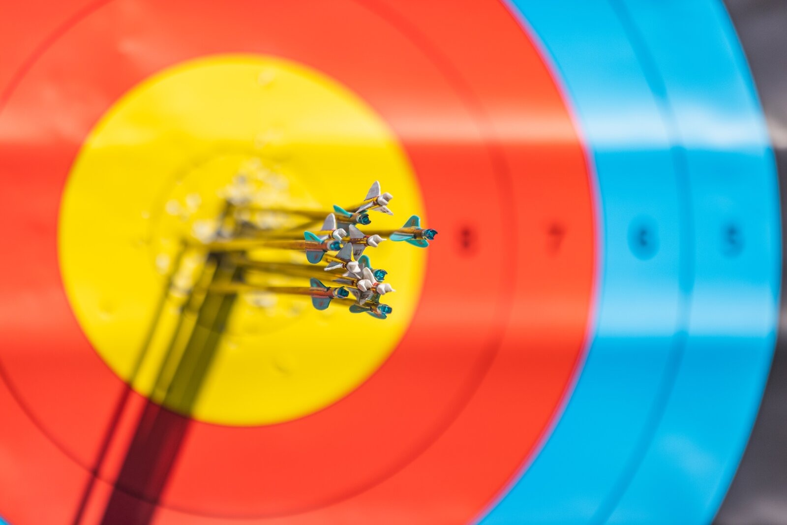 Get Involved National Field Archery Association USA